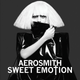 Illustration for article titled On this Tumblr, every album is an Aerosmith album